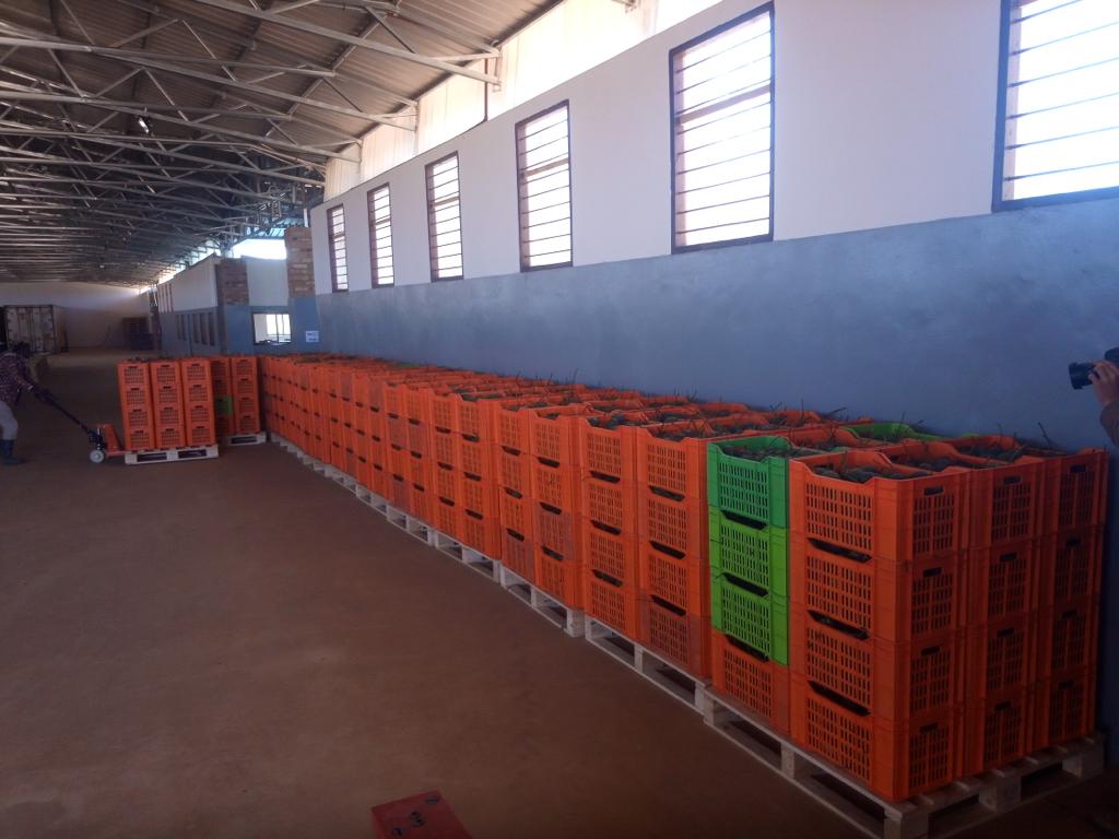 AF_Avocado_Farm_Boxes_from_MUET_Farm_01