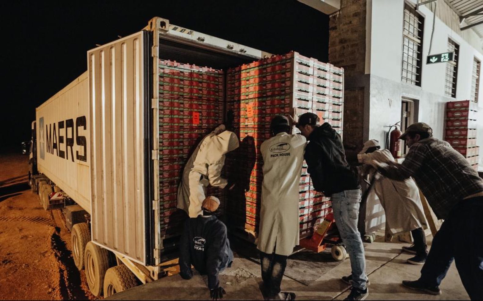 AF_Exportation_of_Avocados_from_MUET_Farm