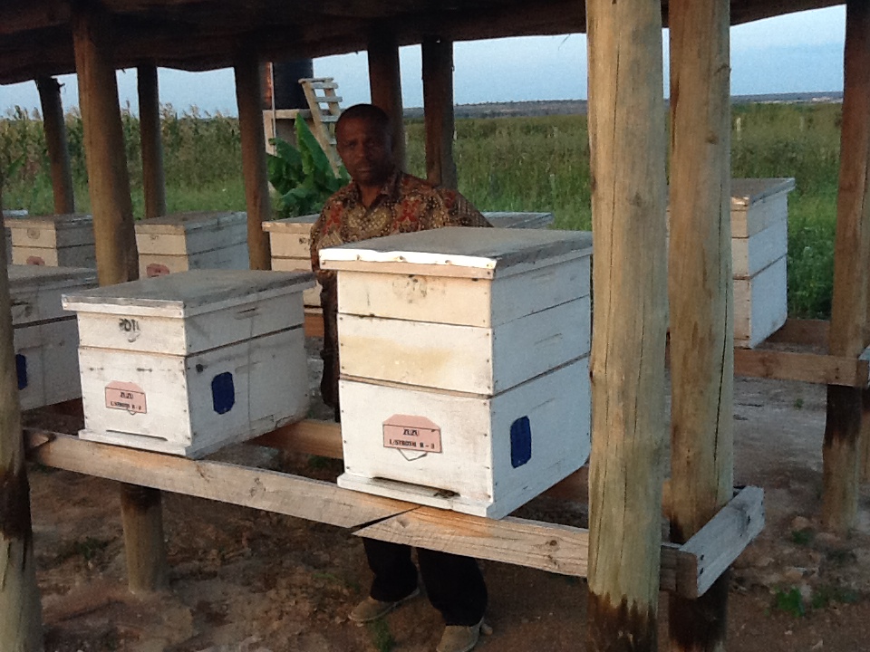 BK_Beehives_from_MUET_Farm