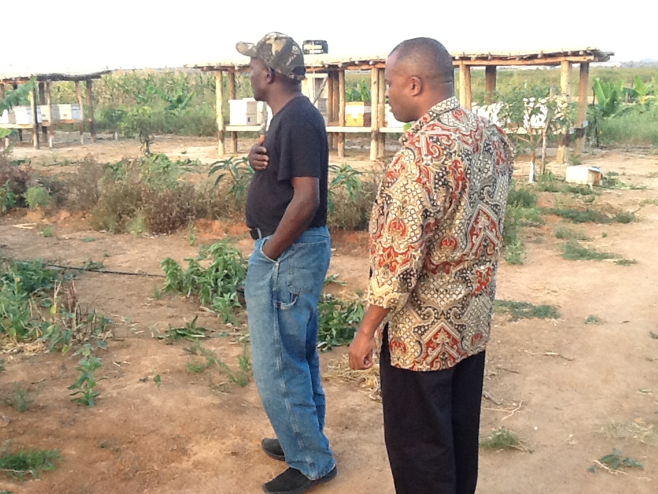 Modern commercial beekeeping farm coordinated by MUET management