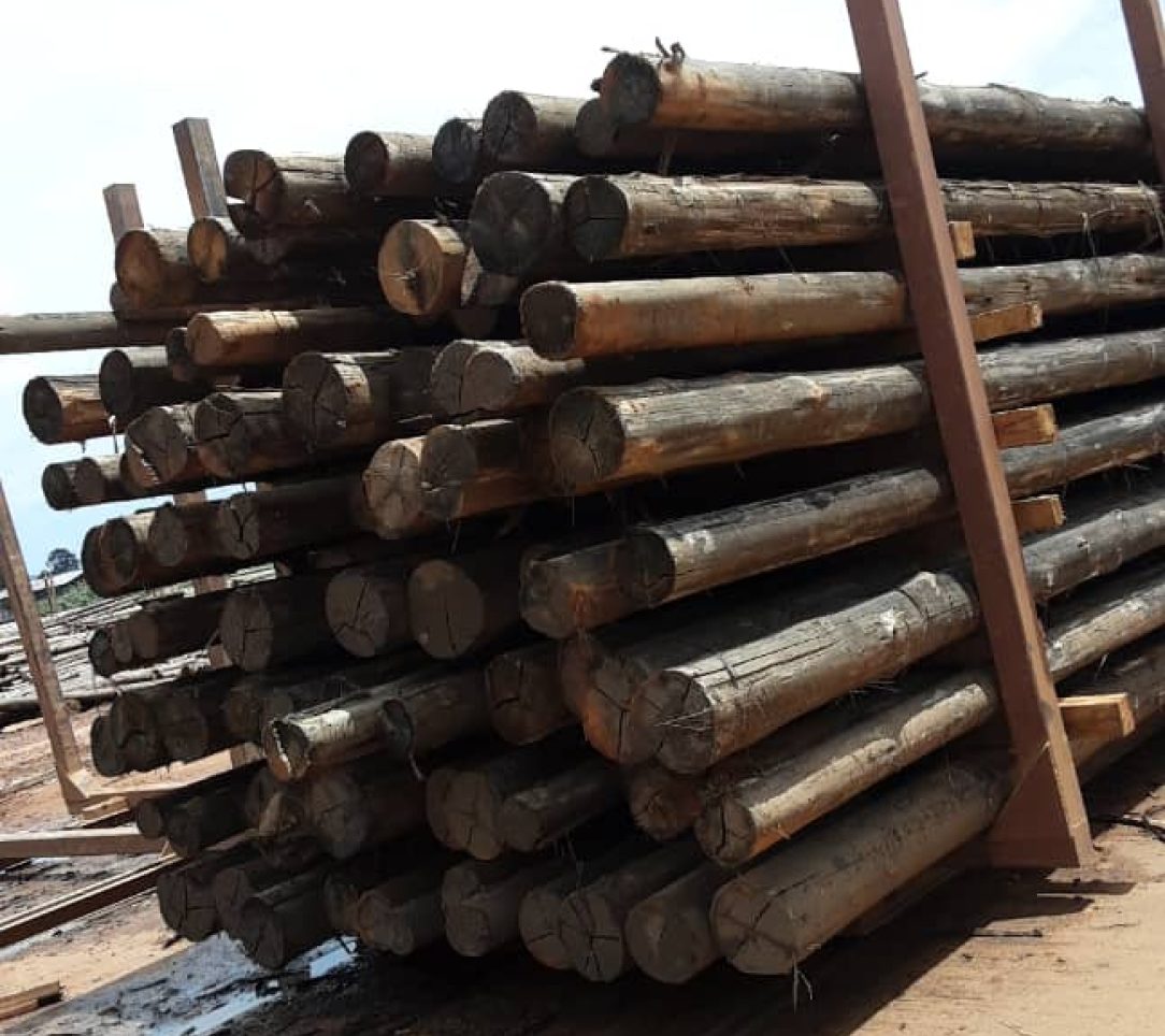 EU_Treated_Poles_Ready_for_Drying