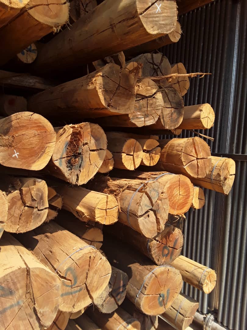EU_Treated_Poles_Ready_for_Use