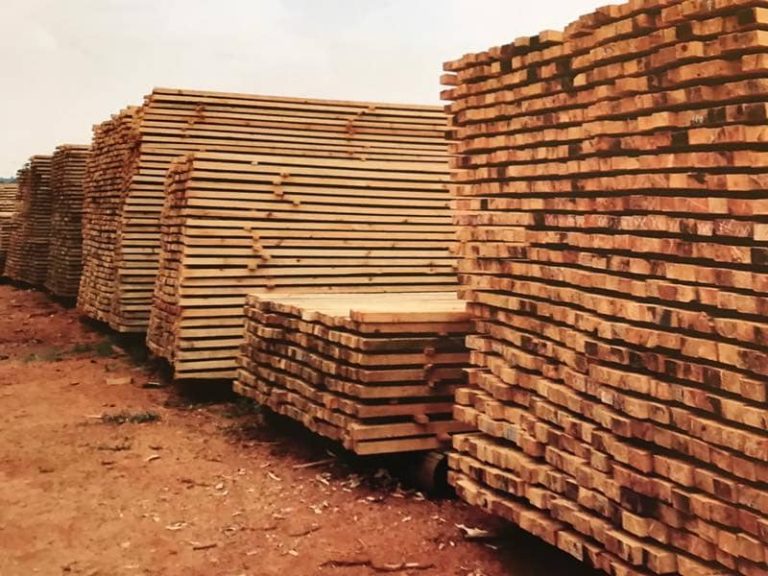 PT_Timber_Production