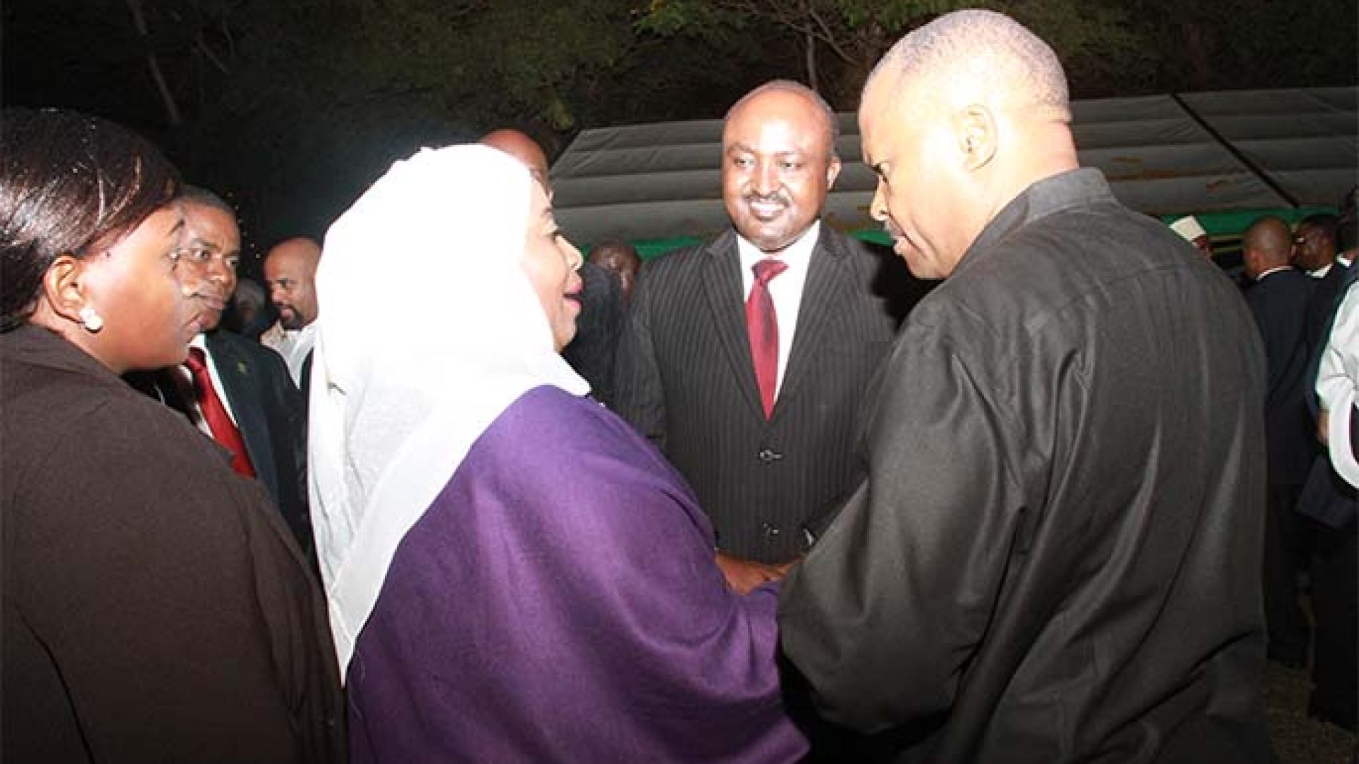 President Dr. Samia Suluhu Hassan Chats with MUET Executive Chairman, Godfrey K Mosha at State House