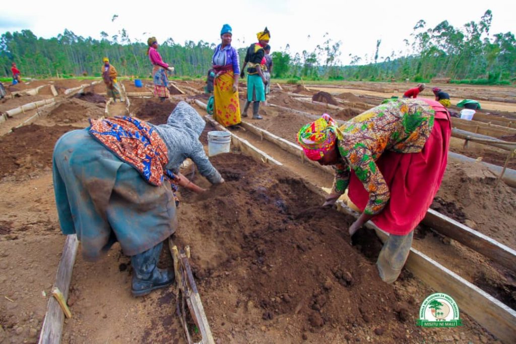 Wananchi-wakichanganya-udongo-kwaajili-ya-kuandaa-bustani-ya-miti-ya-kupanda-1024x682