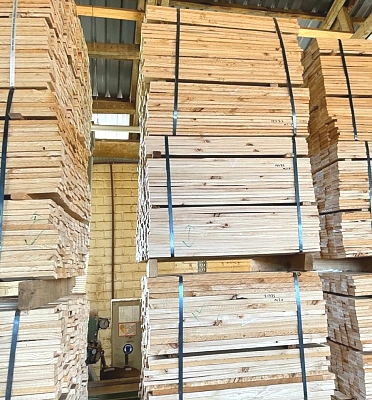 AF_Avocados_Packed_in_Boxes_Ready-for_Export_02