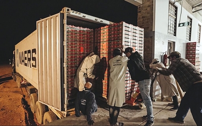 AF_Exportation_of_Avocados_from_MUET_Farm