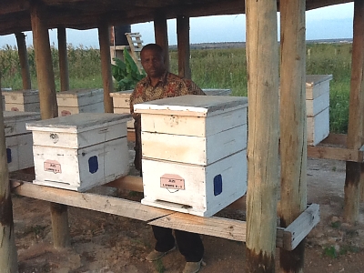 BK_Beehives_from_MUET_Farm