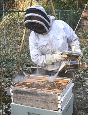 BK_Beekeeper_Using_Bee_Smoker_to_Harves_Honey