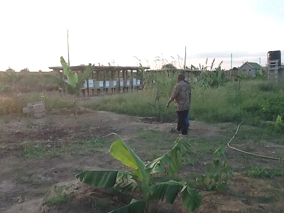 BK_MUET_ikijifunza_Ufugaji_wa_Nyuki_Kibiashara_2