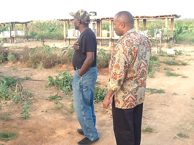 Modern commercial beekeeping farm coordinated by MUET management