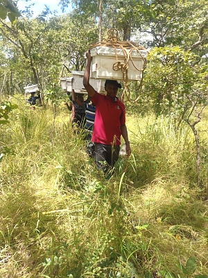 Boxes_trapping_for_beehives