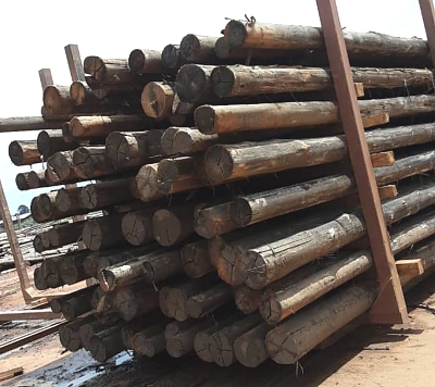EU_Treated_Poles_Ready_for_Drying