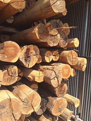 EU_Treated_Poles_Ready_for_Use