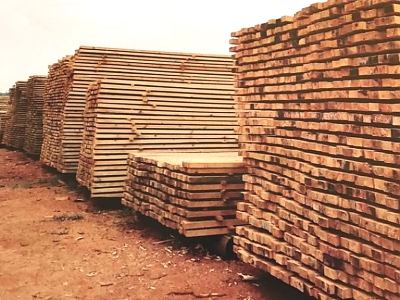 PT_Timber_Production