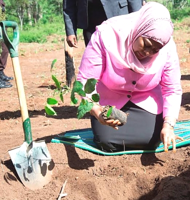 Rais_Samia_Suluhu_Hassani_akipanda_Mti_Wilaya_ya_Mufindi_Ishara_ya_Kuonyesa_Utunzaji_Mazingiza
