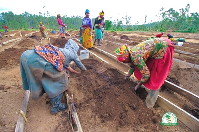 Wananchi-wakichanganya-udongo-kwaajili-ya-kuandaa-bustani-ya-miti-ya-kupanda-1024x682