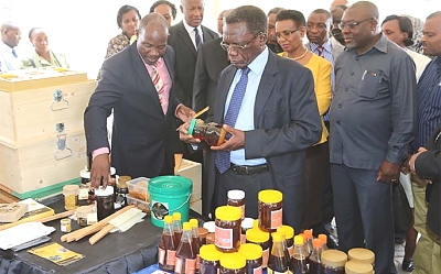 The prime minister of the tenth phase Peter Kayanza Pinda visiting a pavilion with beekeeping products from MUET in the fields of sababasa Dar-es-Salaam.