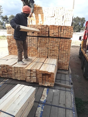 loading_of_pine_pallet_wood_for_shipping